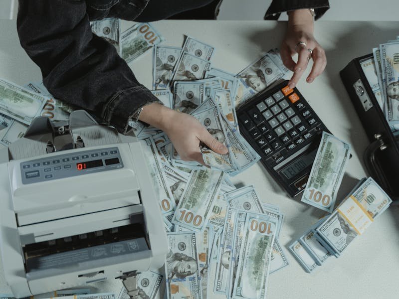 Dense tree canopy in a North Alabama forest showing the variety of tree species common in the Huntsville area