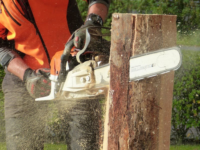 Professional tree removal crew cutting down a large tree in a Huntsville Alabama residential yard