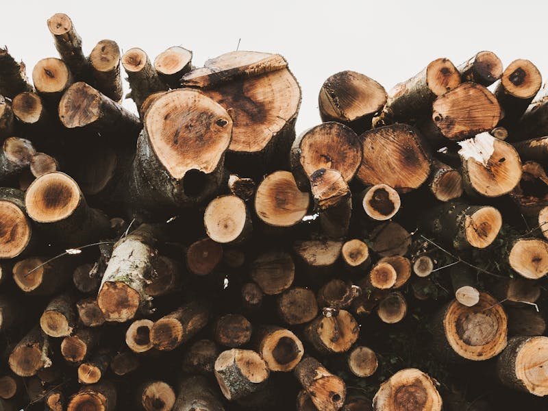 Freshly chopped firewood split and ready for stacking and seasoning near Huntsville Alabama