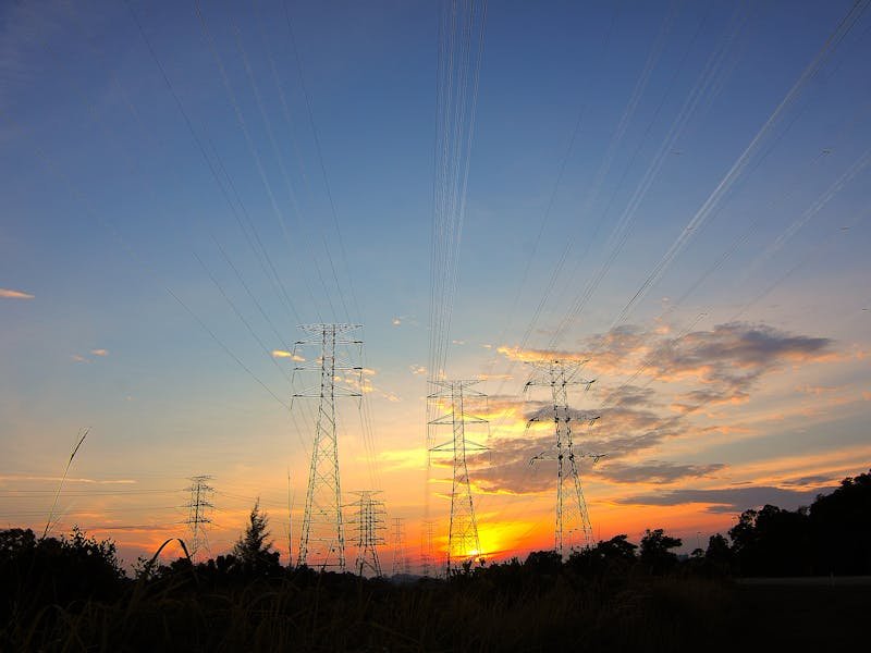 Ice and storm damage on trees near power lines in North Alabama