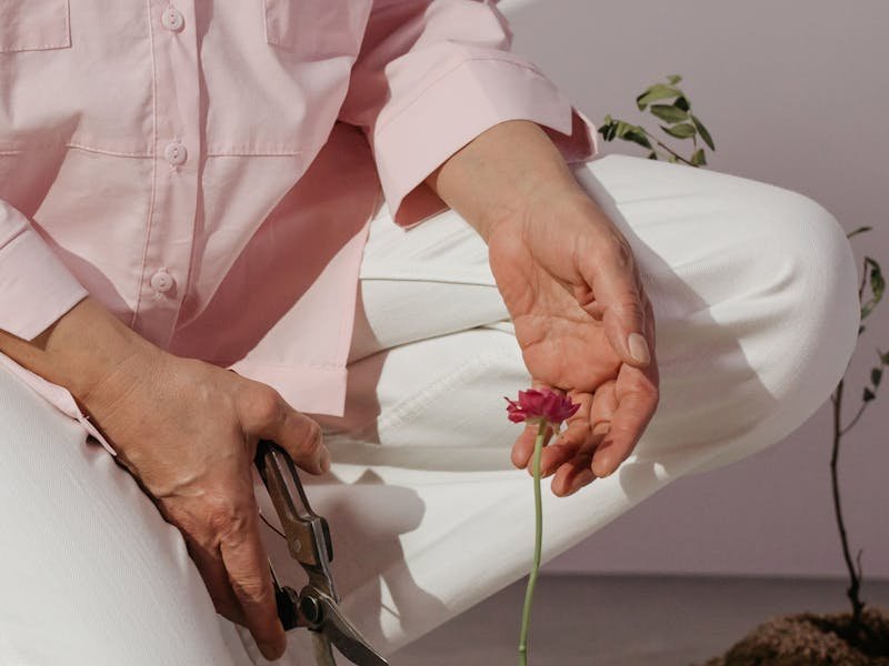 Close-up of professional hedge trimming shears and gardening tools used for shrub maintenance
