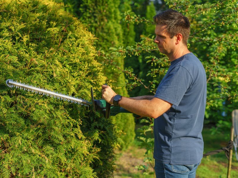 Professional hedge trimming service shaping a boxwood hedge at a Huntsville Alabama home