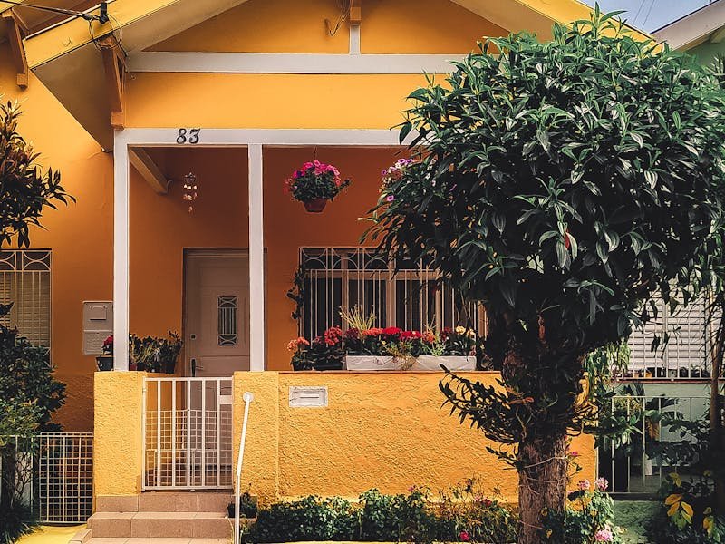 Protecting trees during construction