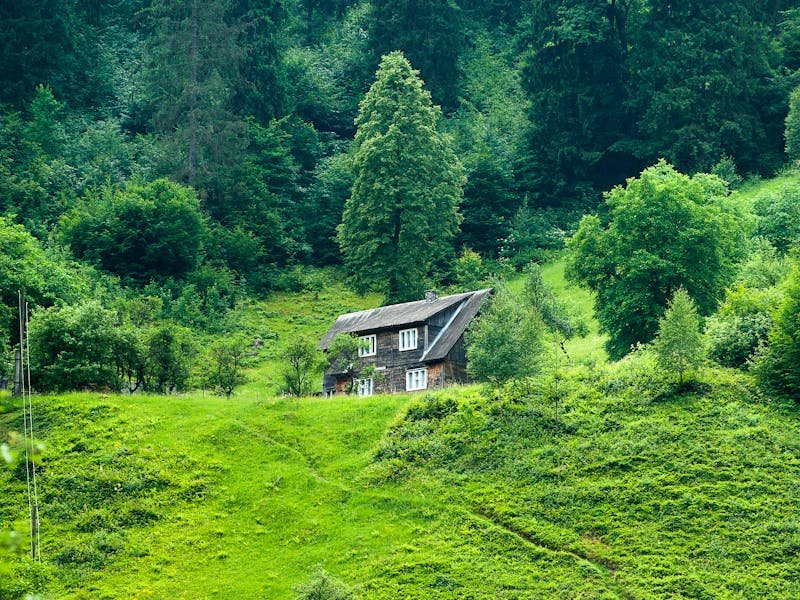 Verifying tree service insurance