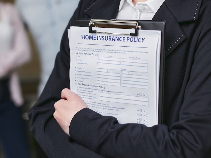 Row of mature trees along a shared property line between two Huntsville Alabama residential lots