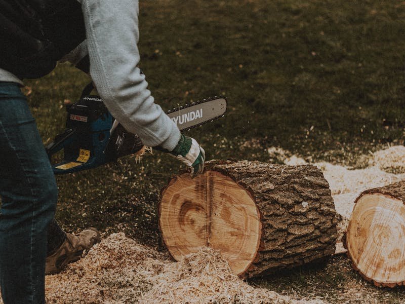 Stump grinding in progress in Huntsville
