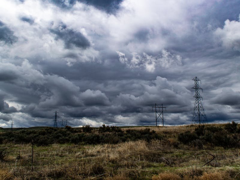 Sunlight filtering through tree canopy