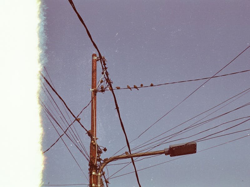 Huntsville Utilities tree trimming program