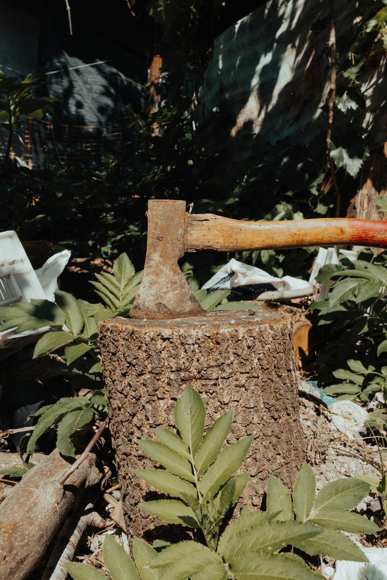 Stump grinding service in South Huntsville